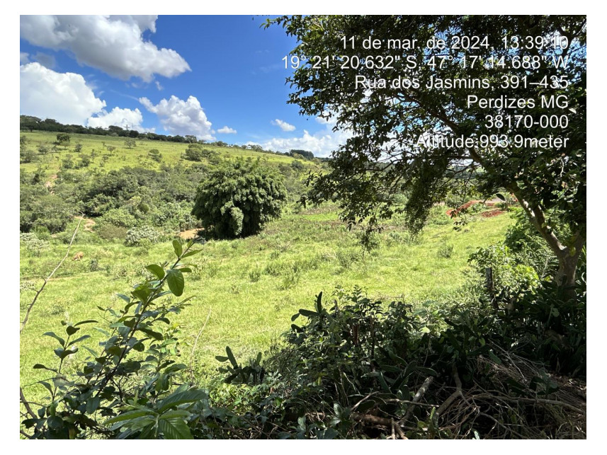 Imagem 8 do Leilão de Terreno - Parque das Flores - Perdizes/MG