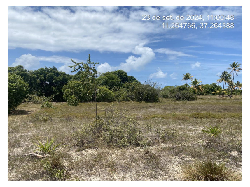 Imagem 1 do Leilão de Terreno - Loteamento Vila Rica do Abais - Itaporanga d'Ajuda/SE