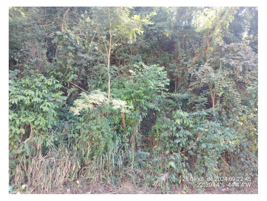 Imagem 1 do Leilão de Terreno - Vale do Sol - Pinheiral/RJ