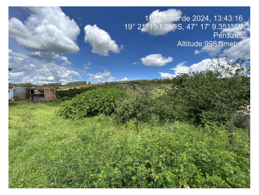 Imagem 4 do Leilão de Terreno - Parque das Flores - Perdizes/MG