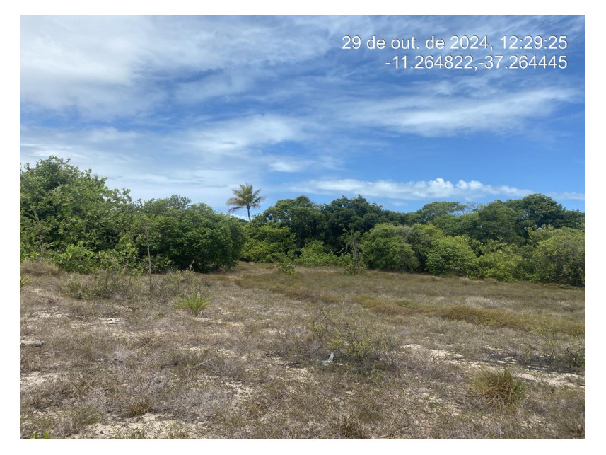 Imagem 2 do Leilão de Terreno - Loteamento Vila Rica do Abais - Itaporanga d'Ajuda/SE