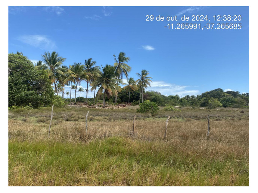 Imagem 1 do Leilão de Terreno - Loteamento Vila Rica do Abais - Itaporanga d'Ajuda/SE