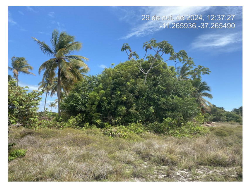 Imagem 2 do Leilão de Terreno - Loteamento Vila Rica do Abais - Itaporanga d'Ajuda/SE