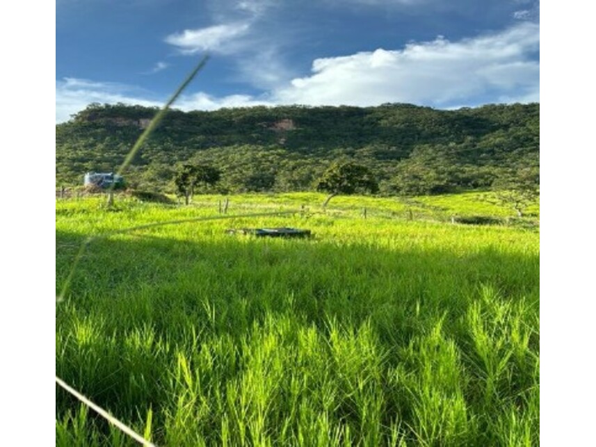 Imagem 3 do Leilão de Fazenda - Zona rural - Rio Verde/GO