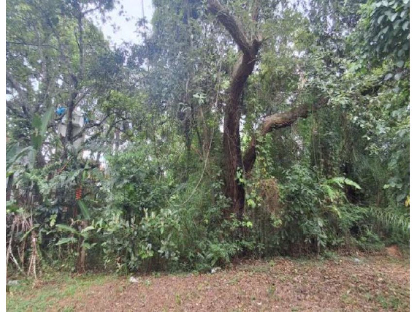 Imagem 12 do Leilão de Terreno - Chácara Pinho Rei - Louveira/SP