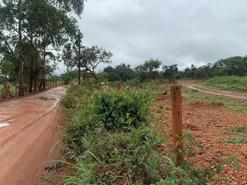Imagem 4 do Leilão de Área Rural - Área Rural de Anápolis - Anápolis/GO