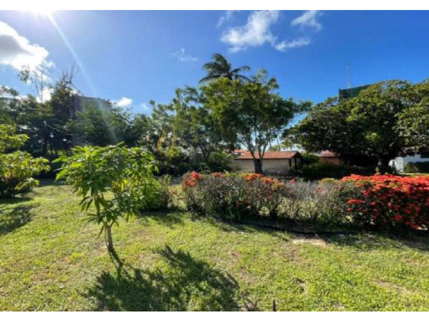 Imagem 22 do Leilão de Casas - Carnaubinha - Paracuru/CE