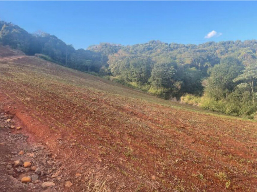 Imagem 3 do Leilão de Área Rural - Rural - Pitanga/PR