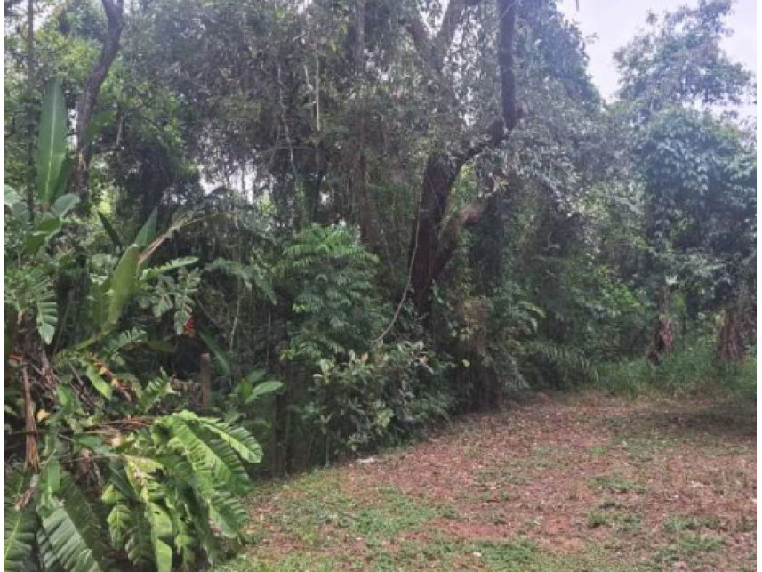 Imagem 15 do Leilão de Terreno - Chácara Pinho Rei - Louveira/SP