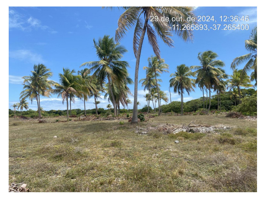 Imagem 2 do Leilão de Terreno - Loteamento Vila Rica do Abais - Itaporanga d'Ajuda/SE