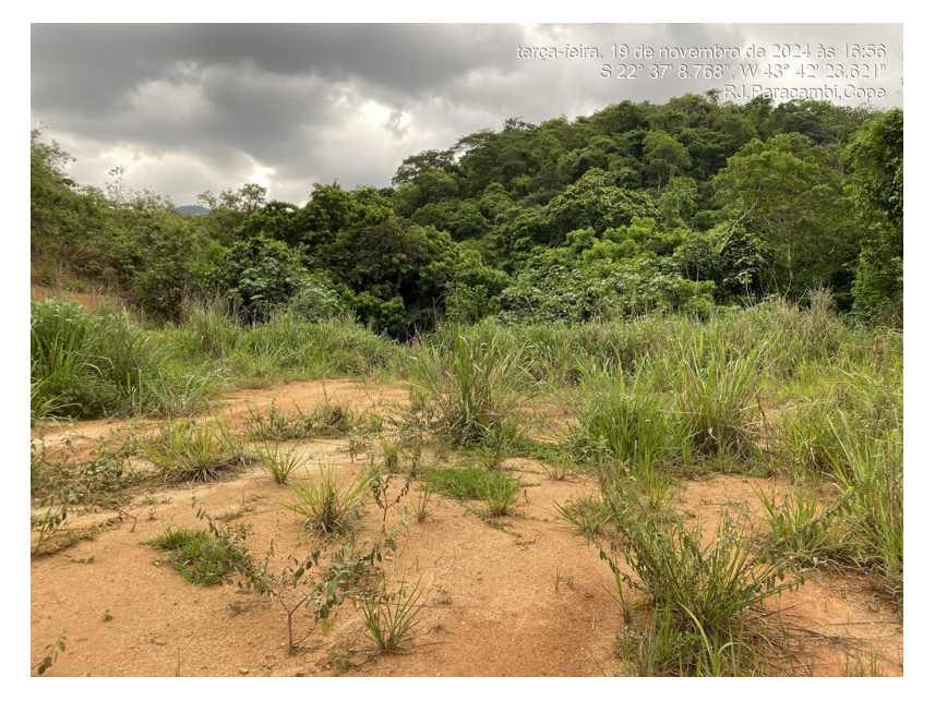 Imagem 1 do Leilão de Terreno - Lages - Paracambi/RJ