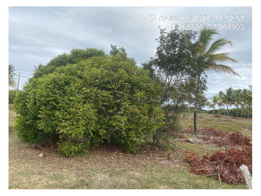 Imagem 2 do Leilão de Terreno - Loteamento Vila Rica do Abais - Itaporanga d'Ajuda/SE