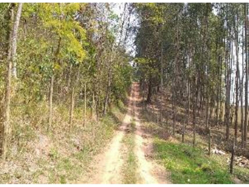 Imagem 4 do Leilão de Área Rural - Bairro Dos Alves - Joanópolis/SP