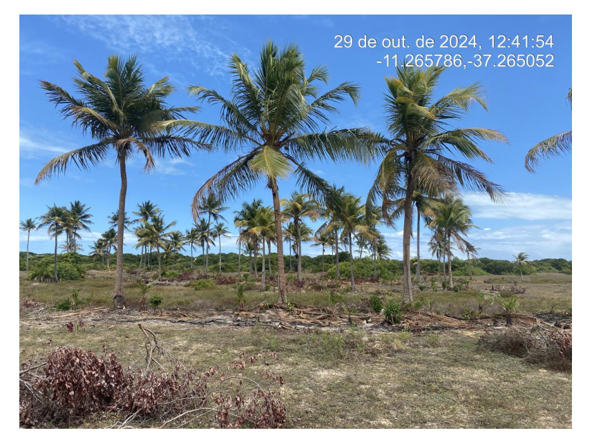 Imagem 2 do Leilão de Terreno - Loteamento Vila Rica do Abais - Itaporanga d'Ajuda/SE