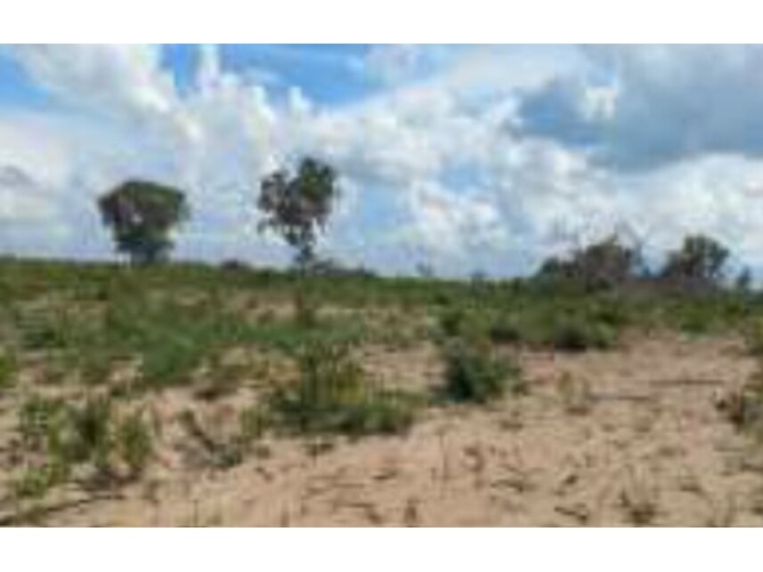 Imagem 4 do Leilão de Terreno - Residencial Jardim Primavera - Ribeirão Cascalheira/MT