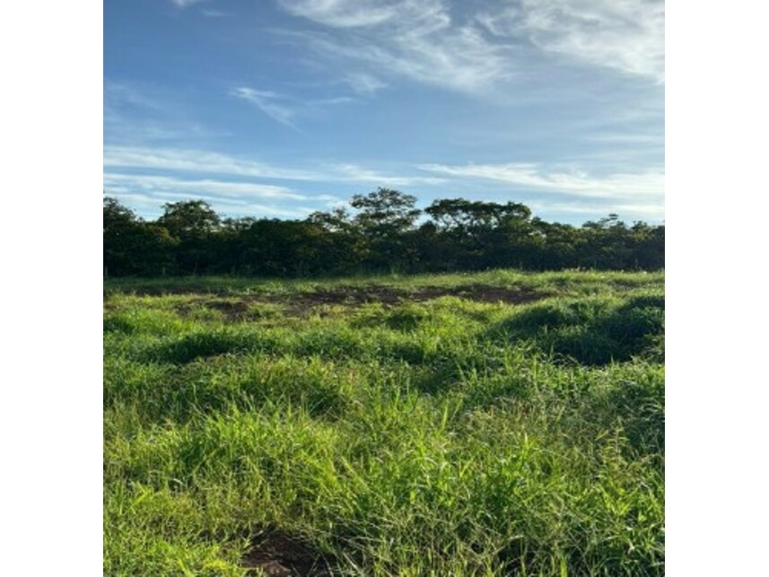 Imagem 4 do Leilão de Fazenda - Zona rural - Rio Verde/GO