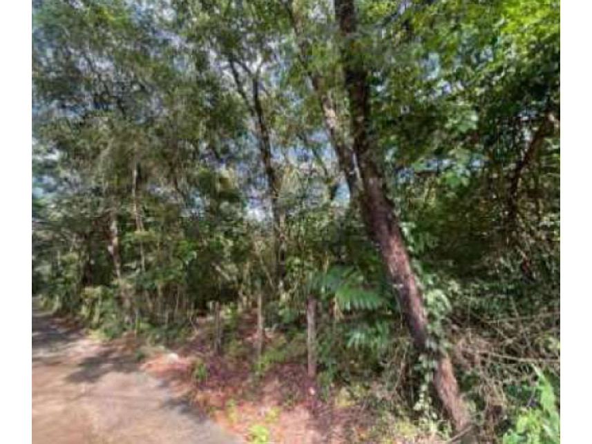 Imagem 11 do Leilão de Terreno - Corguinho - Confins/MG