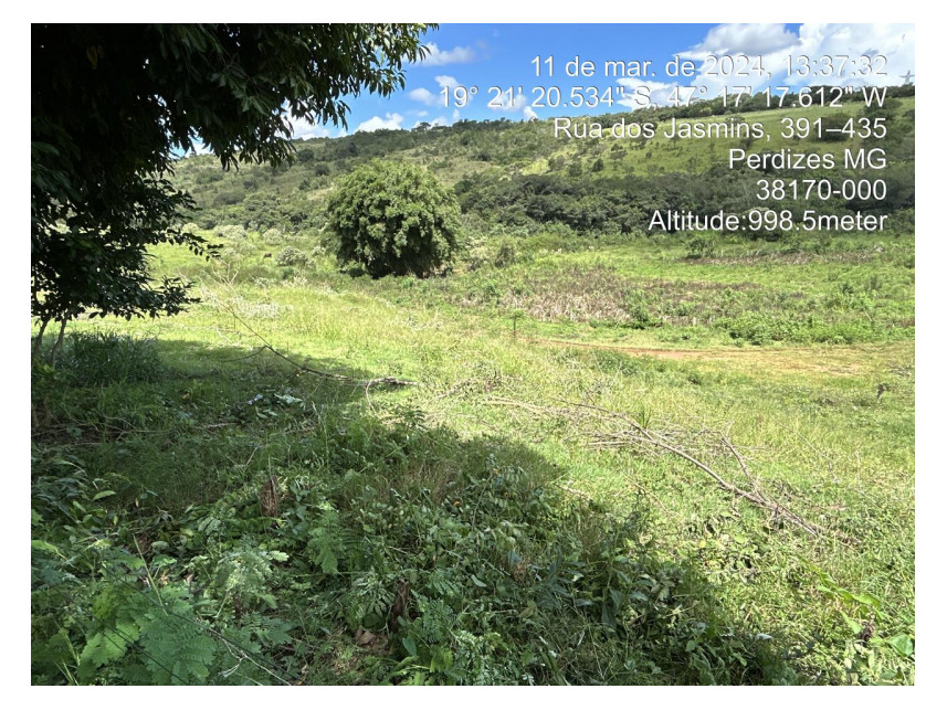 Imagem 10 do Leilão de Terreno - Parque das Flores - Perdizes/MG