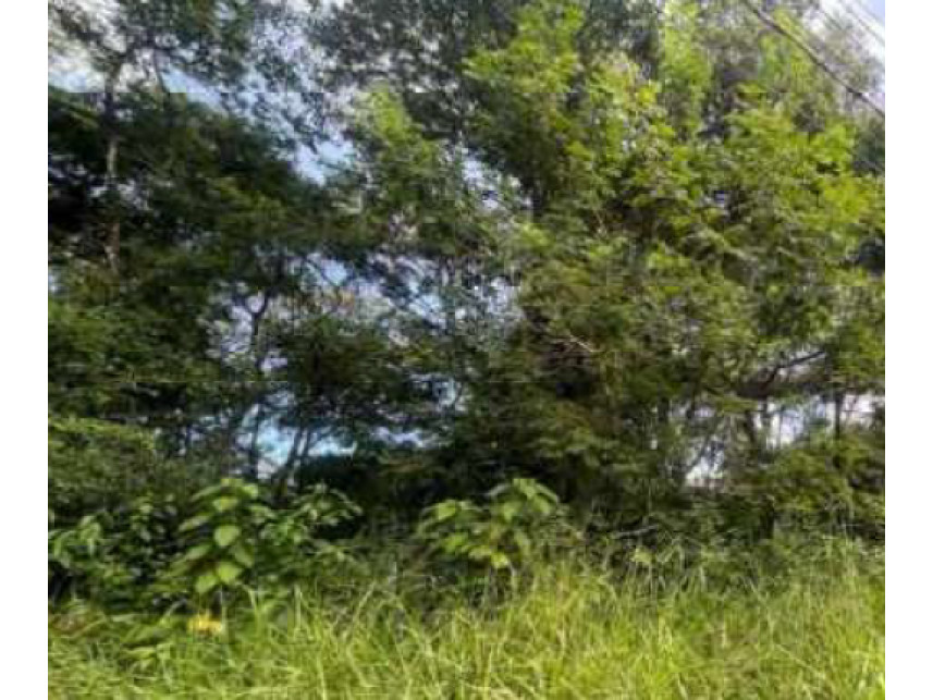 Imagem 6 do Leilão de Terreno - Corguinho - Confins/MG