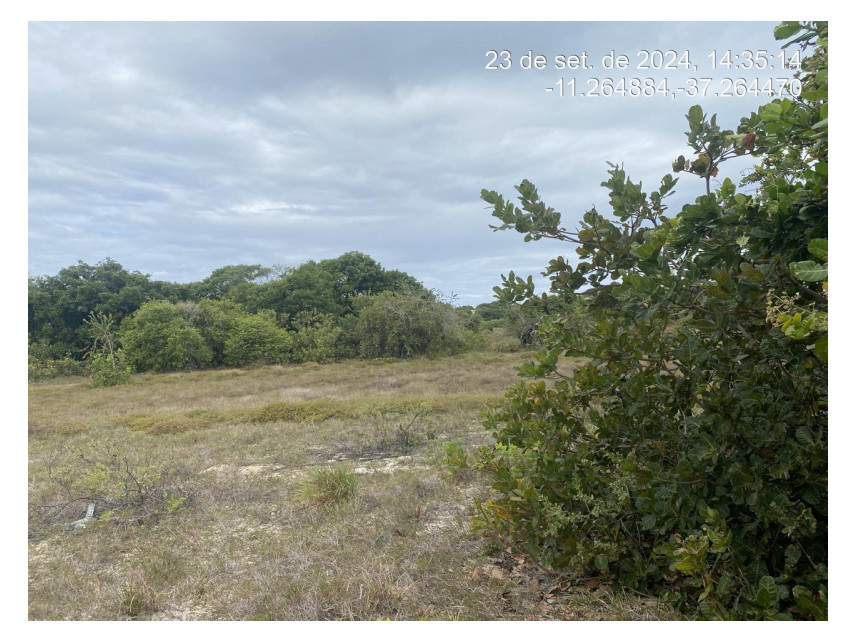 Imagem 1 do Leilão de Terreno - Loteamento Vila Rica do Abais - Itaporanga d'Ajuda/SE