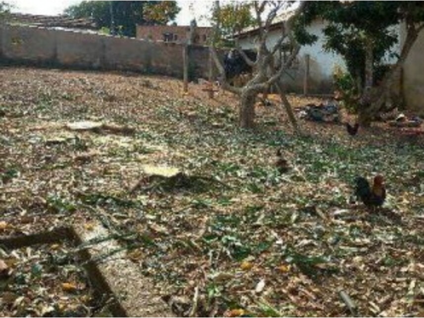 Imagem 2 do Leilão de Terreno - Santo Antônio - Divisa Nova/MG
