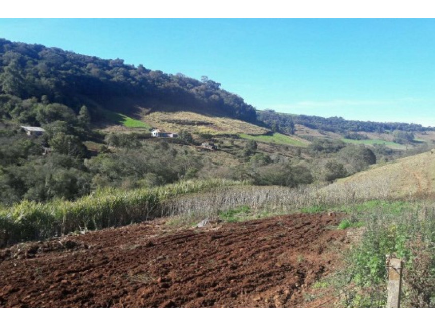 Imagem 5 do Leilão de Área Rural - Zona Rural - Saltinho/SC