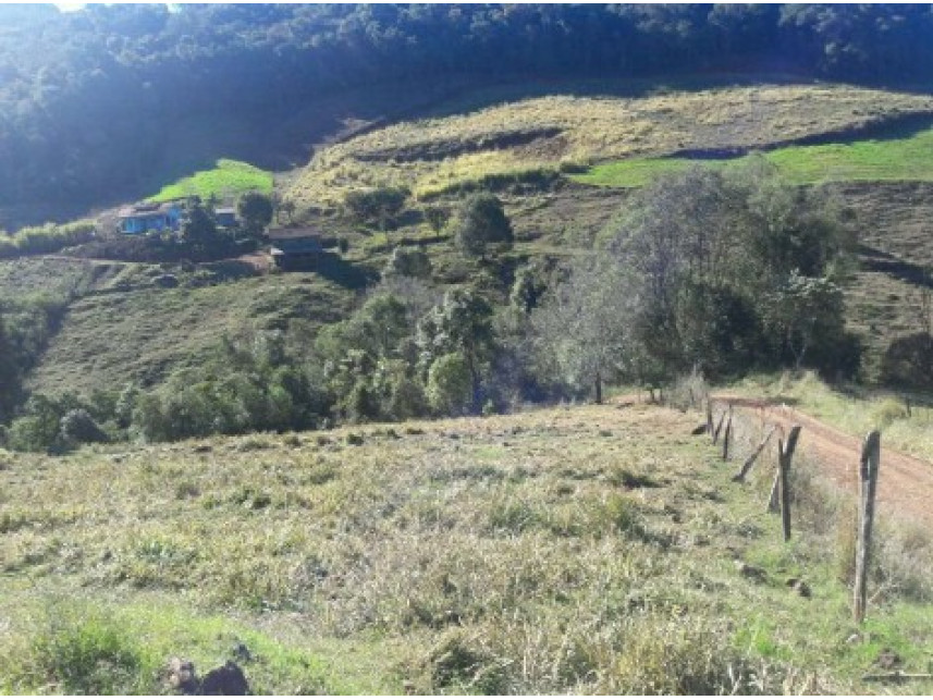 Imagem 4 do Leilão de Área Rural - Zona Rural - Saltinho/SC