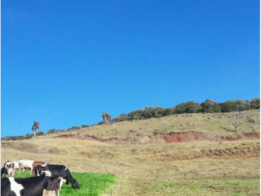 Imagem 7 do Leilão de Área Rural - Zona Rural - Saltinho/SC