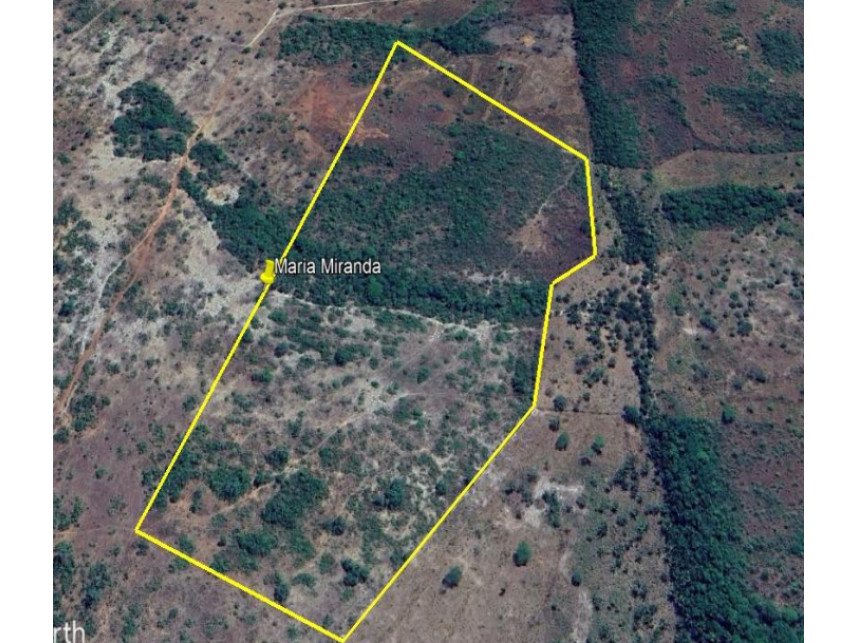 Imagem 1 do Leilão de Área Rural - Zona Rural - Sítio Novo/MA