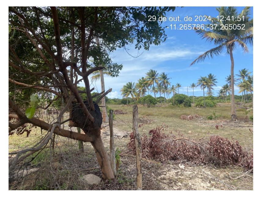 Imagem 2 do Leilão de Terreno - Loteamento Vila Rica do Abais - Itaporanga d'Ajuda/SE