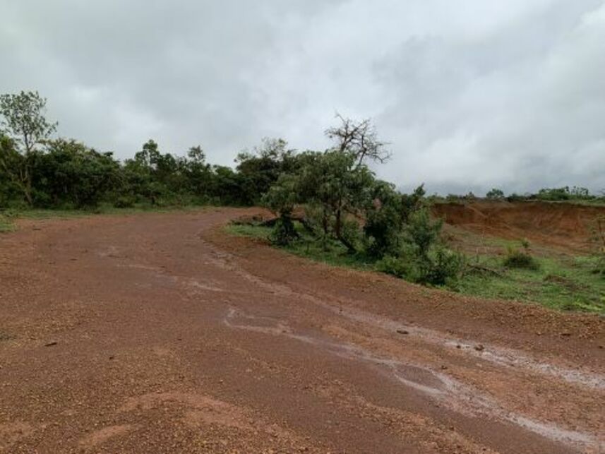 Imagem 11 do Leilão de Área Rural - Área Rural de Anápolis - Anápolis/GO