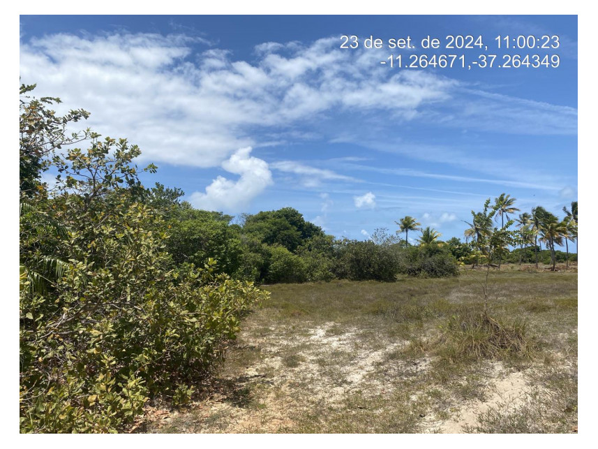 Imagem 1 do Leilão de Terreno - Loteamento Vila Rica do Abais - Itaporanga d'Ajuda/SE