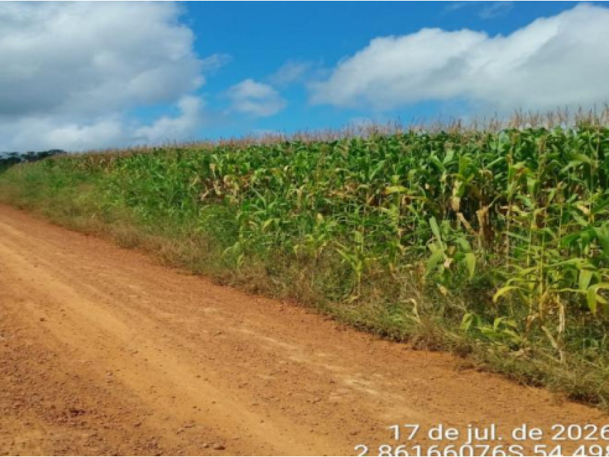 Imagem 2 do Leilão de Terreno - Rural - Mojuí dos Campos/PA