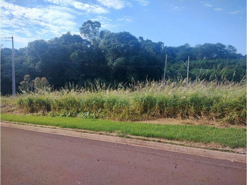 Imagem 5 do Leilão de Terreno - Centro - Cafelândia/PR