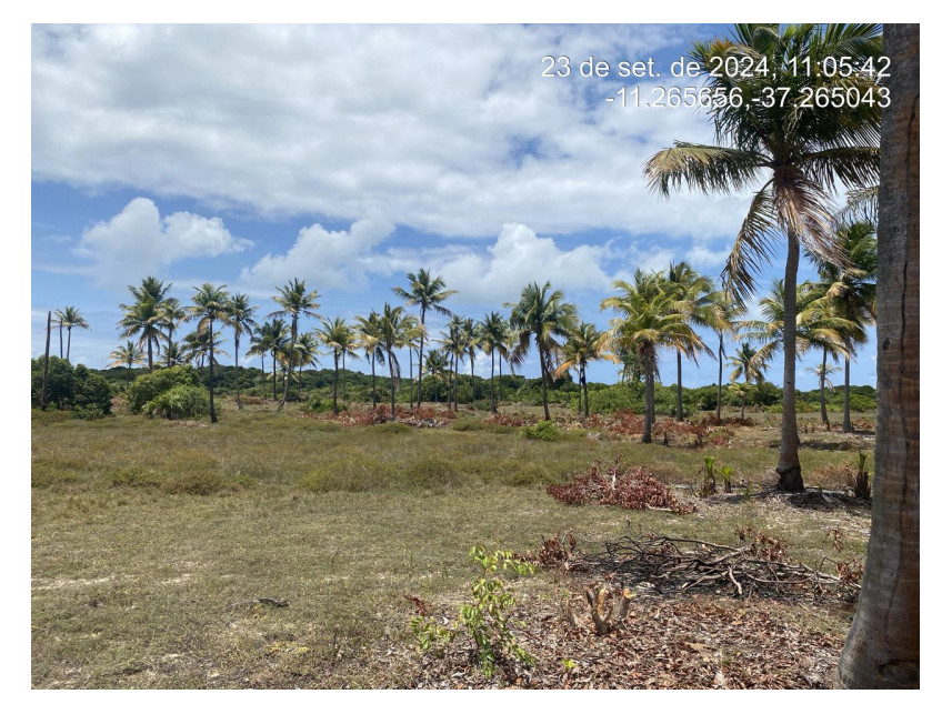 Imagem 1 do Leilão de Terreno - Loteamento Vila Rica do Abais - Itaporanga d'Ajuda/SE