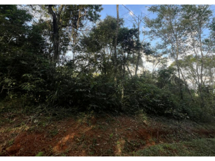 Imagem 2 do Leilão de Terreno - Área Rural - Tuiuti/SP