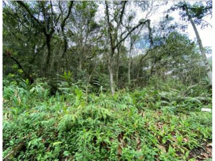 Imagem 2 do Leilão de Casa - Santa Luzia - Ribeirão Pires/SP