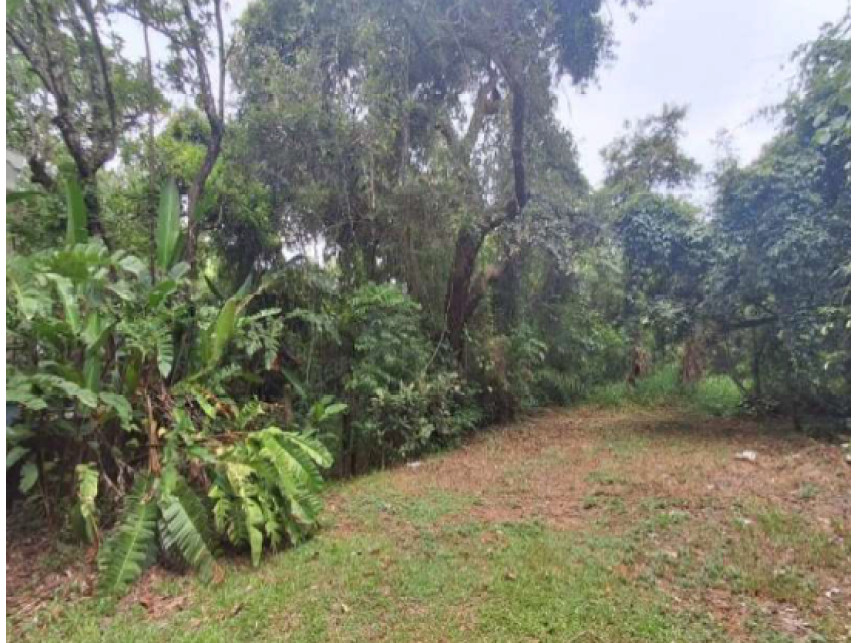 Imagem 14 do Leilão de Terreno - Chácara Pinho Rei - Louveira/SP