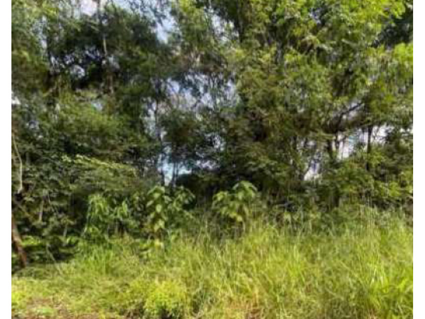 Imagem 15 do Leilão de Terreno - Corguinho - Confins/MG
