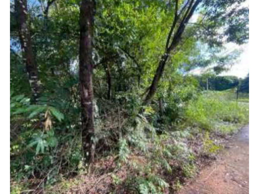 Imagem 13 do Leilão de Terreno - Corguinho - Confins/MG