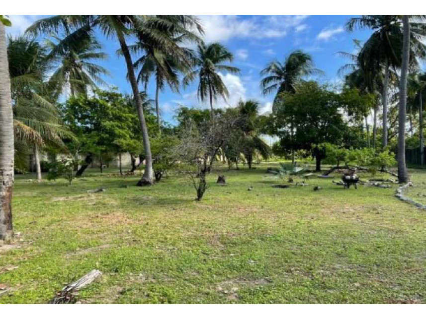 Imagem 11 do Leilão de Casas - Carnaubinha - Paracuru/CE