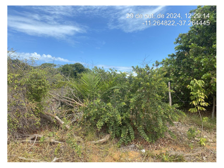 Imagem 1 do Leilão de Terreno - Loteamento Vila Rica do Abais - Itaporanga d'Ajuda/SE