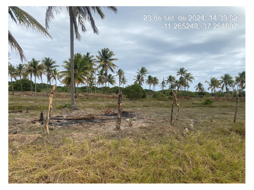 Imagem 2 do Leilão de Terreno - Loteamento Vila Rica do Abais - Itaporanga d'Ajuda/SE