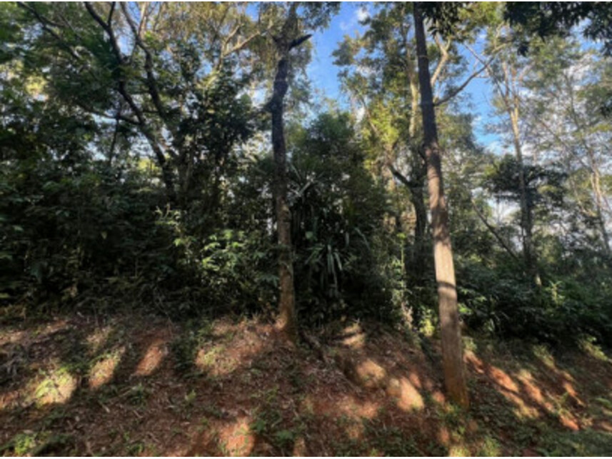Imagem 3 do Leilão de Terreno - Área Rural - Tuiuti/SP