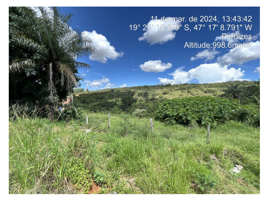 Imagem 3 do Leilão de Terreno - Parque das Flores - Perdizes/MG