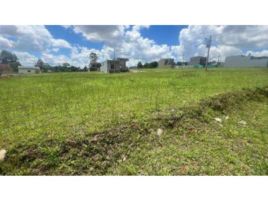 Imagem 3 do Leilão de Terreno - Colônia Dona Luíza - Ponta Grossa/PR