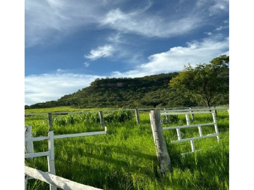 Imagem 6 do Leilão de Fazenda - Zona rural - Rio Verde/GO