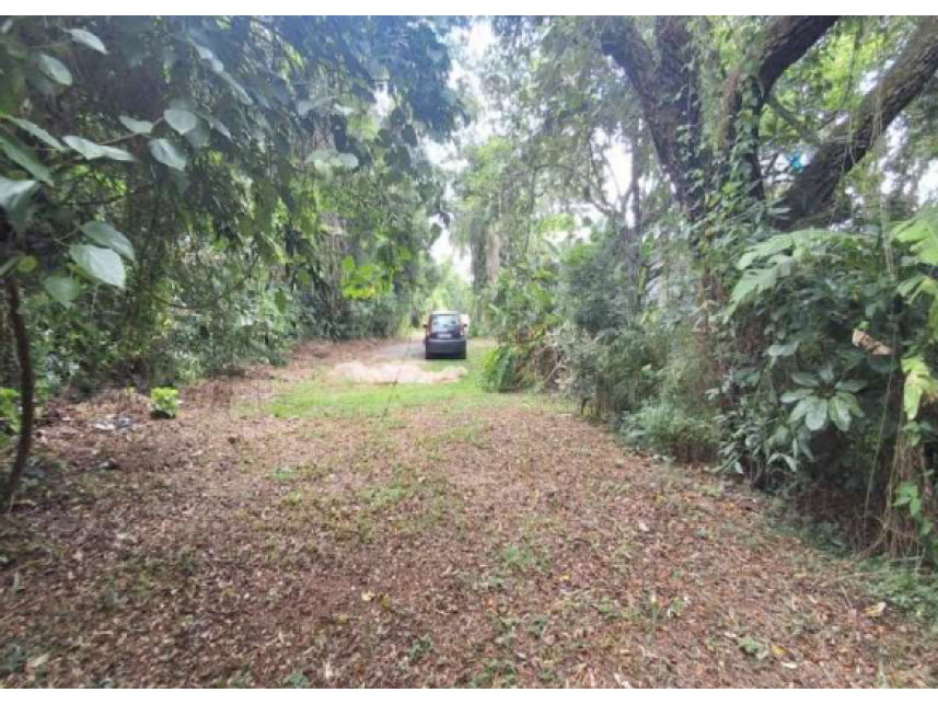 Imagem 8 do Leilão de Terreno - Chácara Pinho Rei - Louveira/SP