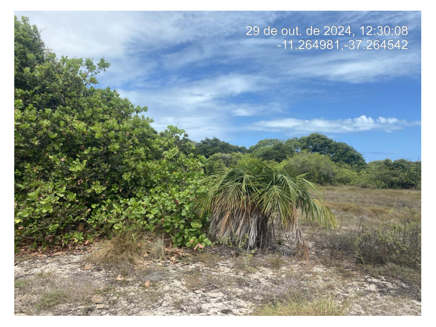 Imagem 1 do Leilão de Terreno - Loteamento Vila Rica do Abais - Itaporanga d'Ajuda/SE