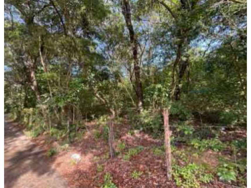 Imagem 14 do Leilão de Terreno - Corguinho - Confins/MG